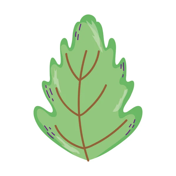 Botanik Söt Leaf Exotiska Stil Vektorillustration — Stock vektor