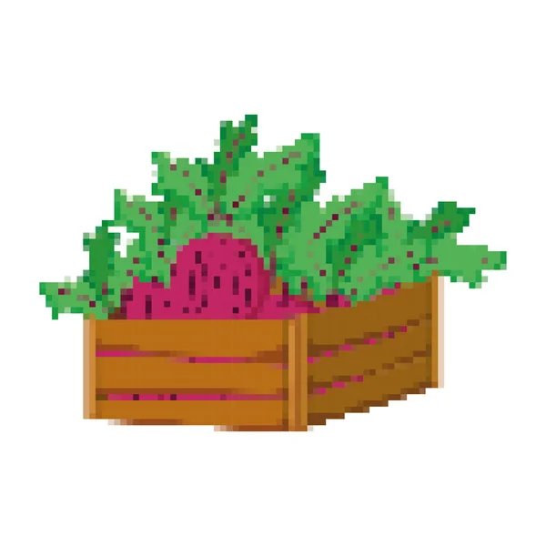 Pixelado Verduras Cebolla Fresca Dentro Cesta Madera Vector Ilustración — Vector de stock