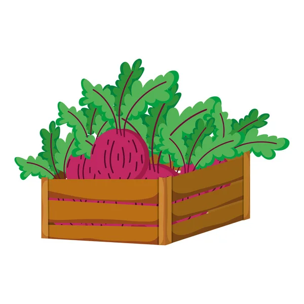 木製バスケット内の健康タマネギ野菜ベクトル イラスト — ストックベクタ