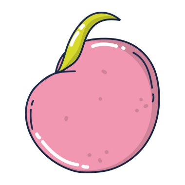 lezzetli elma sağlıklı organik meyve vektör çizim