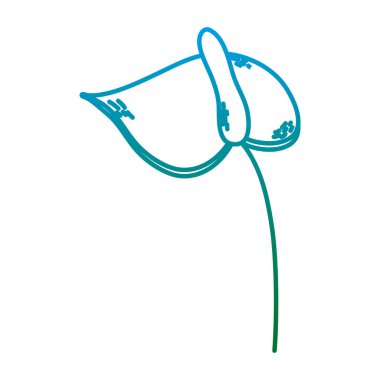 satır güzel egzotik çiçek petal stil vektör çizim ile bozulmuş