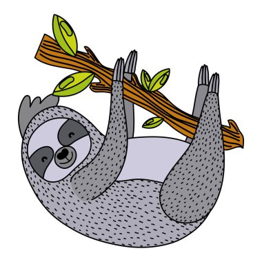 vektör çizim rengi güzel tembellik vahşi hayvan daldaki yapraklar