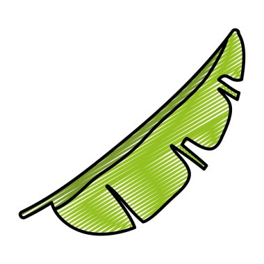 tropikal şube egzotik bitki stil vektör çizim doodle