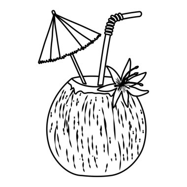 satır taze Hindistan cevizi İçecek şemsiye ve çiçek vektör çizim ile