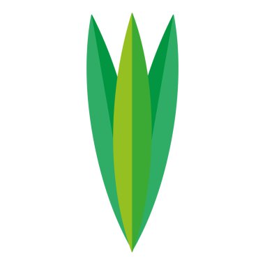 doğal bitkiler tropikal yaprak stil vektör çizim