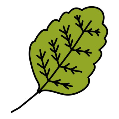 renk egzotik yaprak botanik bitki stil vektör çizim