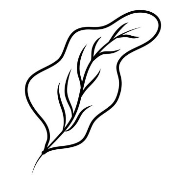 satır botanik yaprak tarzı egzotik bitki vektör çizim