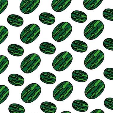 tropikal karpuz meyve beslenme arka plan vektör çizim