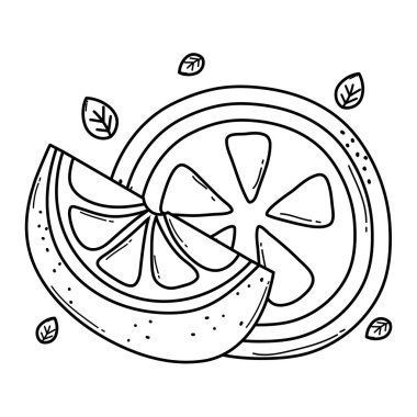 satır lezzetli dilim portakal organik meyve illüstrasyon vektör