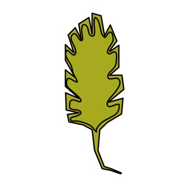 renk doğa bahar yaprak tropikal tarzı vektör çizim