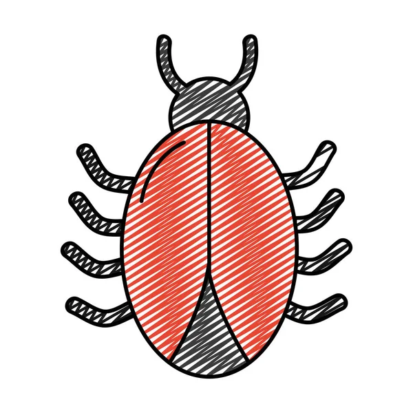 Doodle Örümcek Darger Böcek Web Simge Vektör Çizim — Stok Vektör