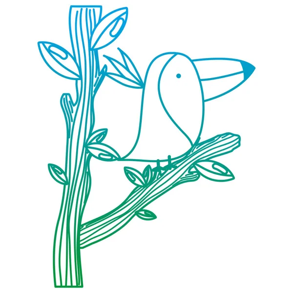 Degraded Line Adorable Toucan Animal Tree Branch Leaves Vector Illustration — Stock Vector