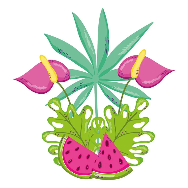 Flores Con Ramas Plantas Sandía Fruta Vector Ilustración — Vector de stock
