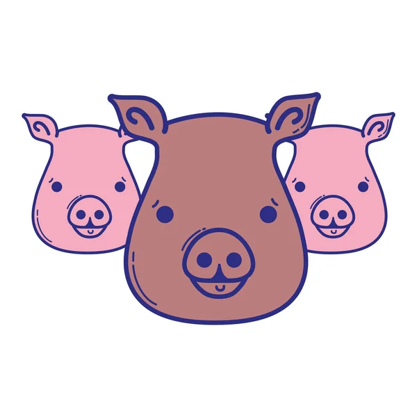 Niedliche Schweine Köpfe Wilde Tiere Vektor Illustration — Stockvektor