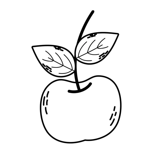 Line Delicious Fresh Apple Fruit Nutrition Vector Illustration — Stock Vector