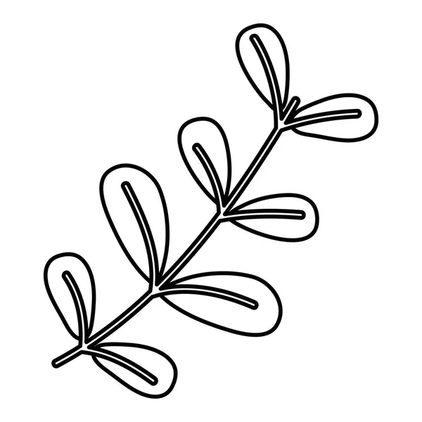 Linie Exotische Zweigpflanze Blätter Stil Vektor Illustration — Stockvektor