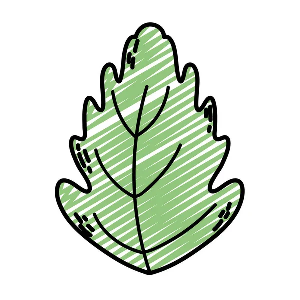 植物かわいい葉エキゾチックなスタイルのベクトル図を落書き — ストックベクタ