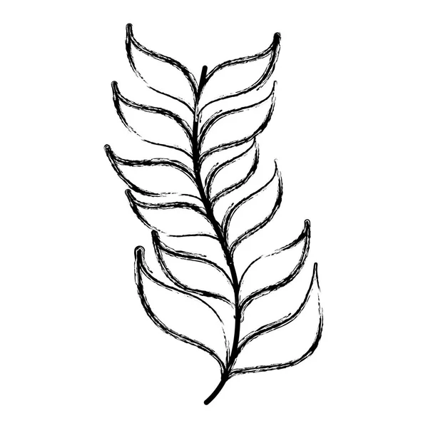 Grunge Exotische Branch Laat Natuurlijke Plantaardige Vectorillustratie — Stockvector