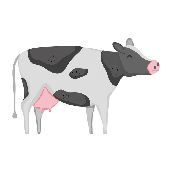 Schattige Koe Boerderij Dierlijke Pictogram Vectorillustratie — Stockvector