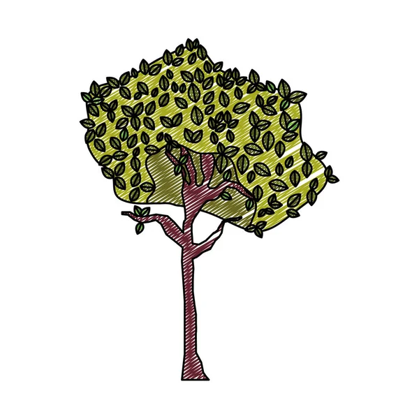 Doodle Εξωτικό Δέντρο Βοτανικό Κοτσάνι Φύση Διανυσματικά Εικονογράφηση — Διανυσματικό Αρχείο