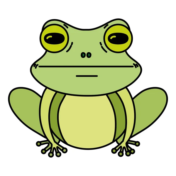 Χρώμα Χαριτωμένο Βάτραχος Εξωτικά Άγρια Ζώα Διανυσματικά Εικονογράφηση — Διανυσματικό Αρχείο