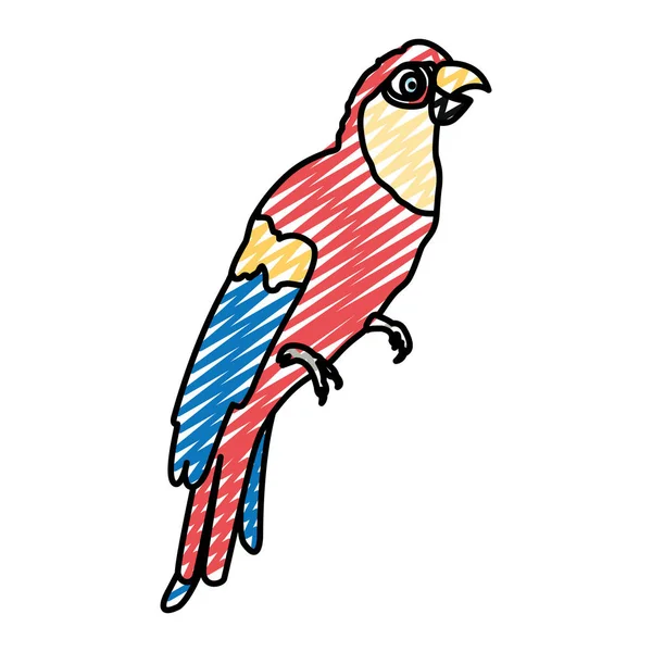 Doodle Van Tropische Papegaai Vogel Dierlijke Stijl Vectorillustratie — Stockvector