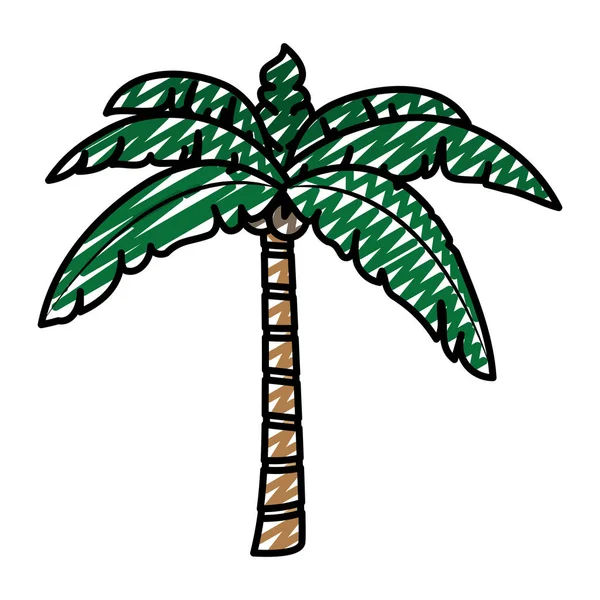 Doodle Tropical Palm Tree Leaves Coconuts Vector Illustration — Stock Vector