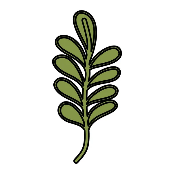 Χρώμα Φύσης Υποκατάστημα Φυτό Φύλλα Στυλ Εικονογράφηση Διάνυσμα — Διανυσματικό Αρχείο