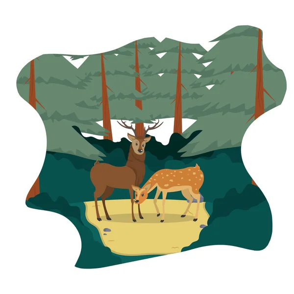 夫妇鹿野生动物在风景向量例证 — 图库矢量图片
