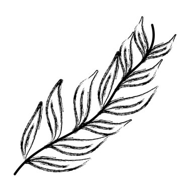Grunge tropikal şube yaprakları bitki stil vektör çizim
