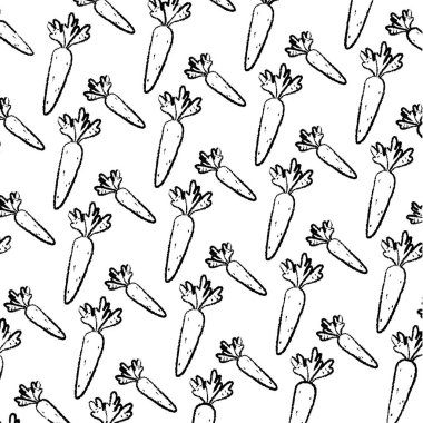 Grunge sağlıklı havuç organik sebze arka plan vektör çizim