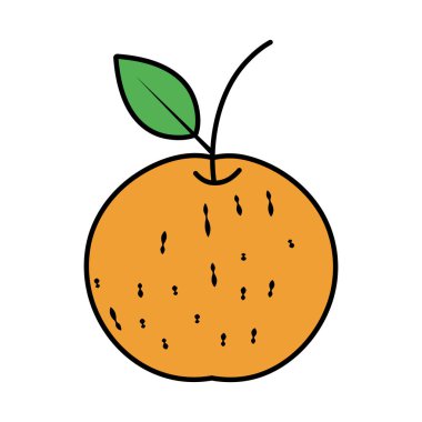 renk turuncu lezzetli taze meyve beslenme vektör çizim