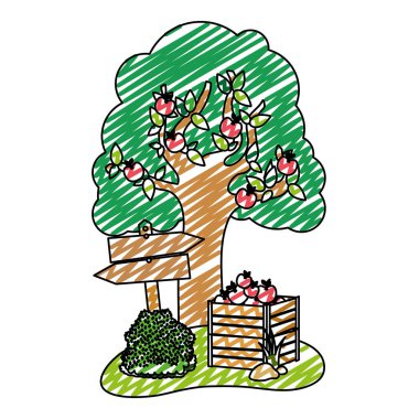 elma ağacı ve ahşap çiftlik kutusu vektör çizim içinde meyve doodle