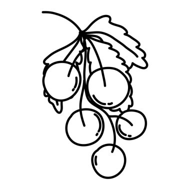 satır lezzetli üzüm organik meyve ile vektör çizim bırakır