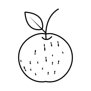 satır lezzetli turuncu taze meyve beslenme vektör çizim