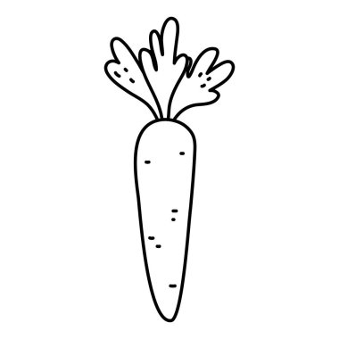 satır sağlıklı havuç organik sebze madde vektör çizim