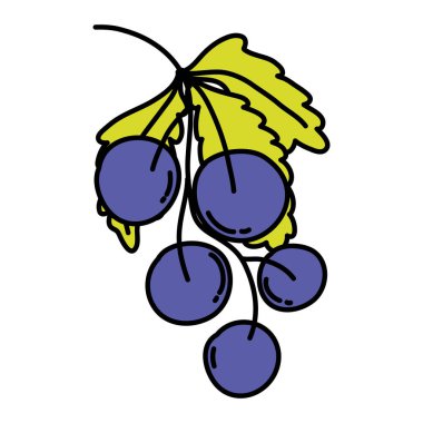 renk lezzetli üzüm organik meyve ile vektör çizim bırakır