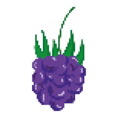 pixelated lezzetli üzüm meyve beslenme vektör çizim