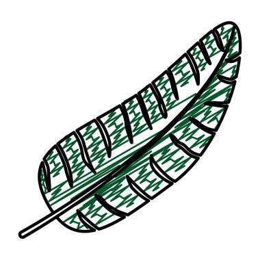 tesisi tropikal şube yaprakları stil vektör çizim doodle