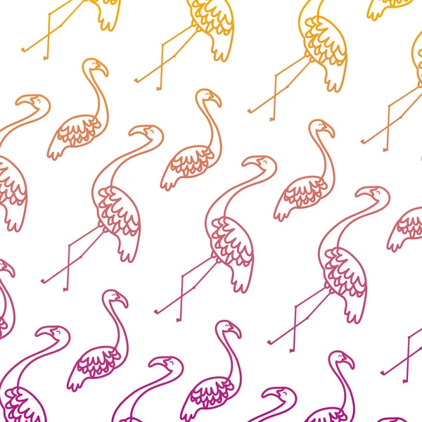 degraded line exotic flemish bird animal background vector illustration
