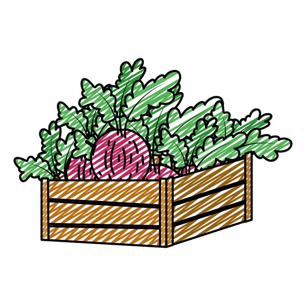 Doodle Legumes Cebola Saudáveis Dentro Madeira Cesta Vetor Ilustração — Vetor de Stock