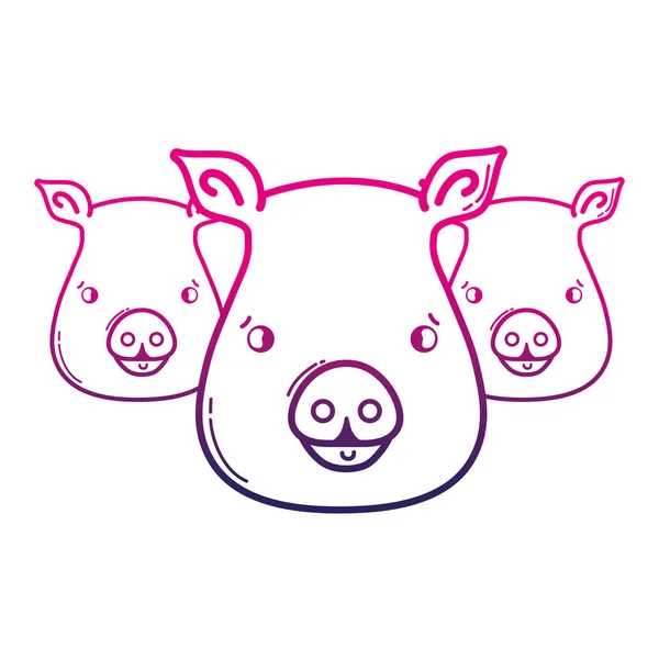 Linie Niedliche Schweine Köpfe Wilde Tiere Vektor Illustration — Stockvektor