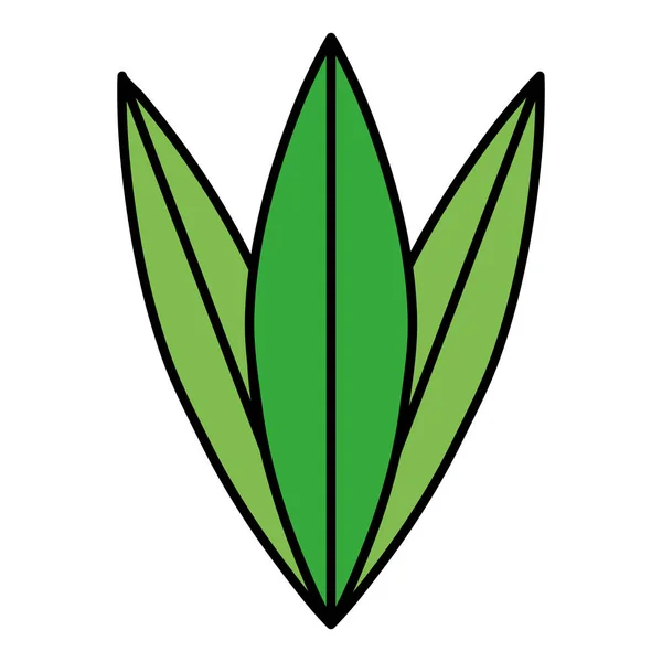 Χρώμα Χαριτωμένο Φυτό Εξωτικά Φύλλα Σχεδιασμό Εικονογράφηση Διάνυσμα — Διανυσματικό Αρχείο