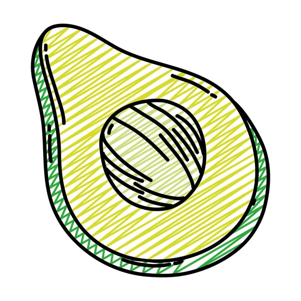 Lezzetli Dilim Avokado Organik Meyve Vektör Çizim Doodle — Stok Vektör