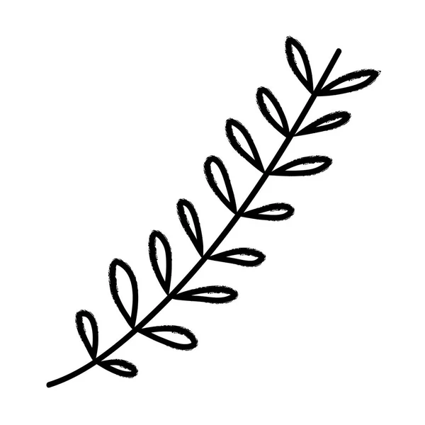 Grunge Φυσικό Φυτό Εξωτικό Υποκατάστημα Φύλλα Εικονογράφηση Διάνυσμα — Διανυσματικό Αρχείο