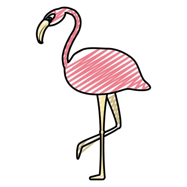 Doodle Tropické Vlámská Kráska Pták Zvířecí Vektorové Ilustrace — Stockový vektor