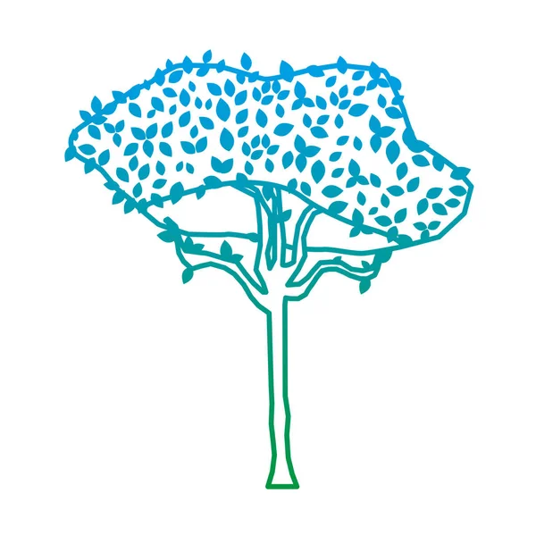 Árbol Naturaleza Línea Degradada Con Ilustración Vectores Botánicos Tallo Exótico — Vector de stock