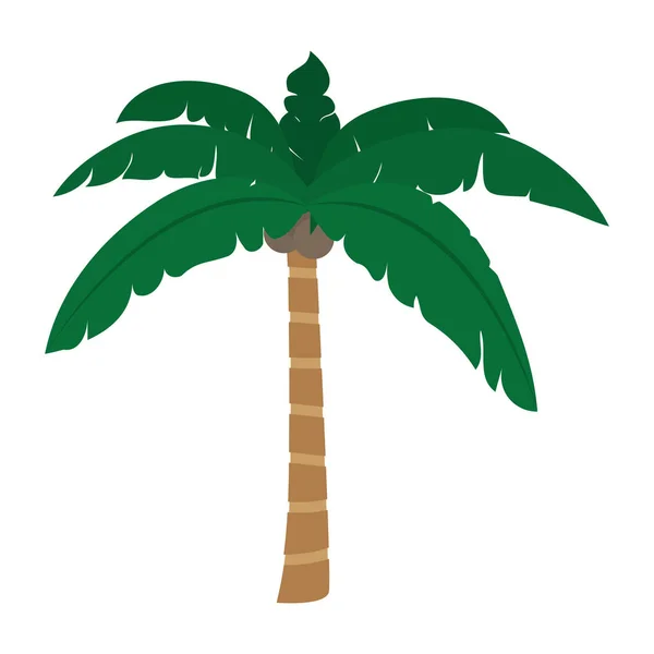 Tropische Palmboom Met Bladeren Kokosnoten Vectorillustratie — Stockvector