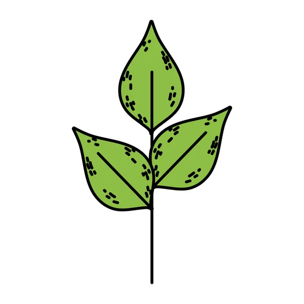 Cor Planta Exótica Natureza Folhas Design Vetor Ilustração —  Vetores de Stock