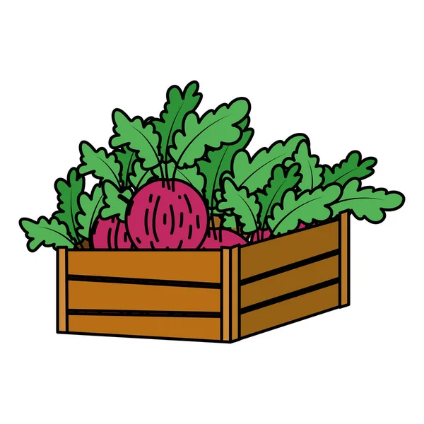 Warzywa Cebula Zdrowy Kolor Wewnątrz Kosz Drewno Ilustracja Wektorowa — Wektor stockowy